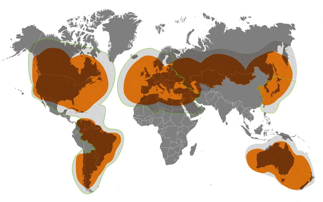 Globalstar-el-proveedor-de-los-mensajes-de-emergencia-satelital-del-iPhone-lanzará-nuevos-satélites-con-SpaceX Costa Rica iPhone
